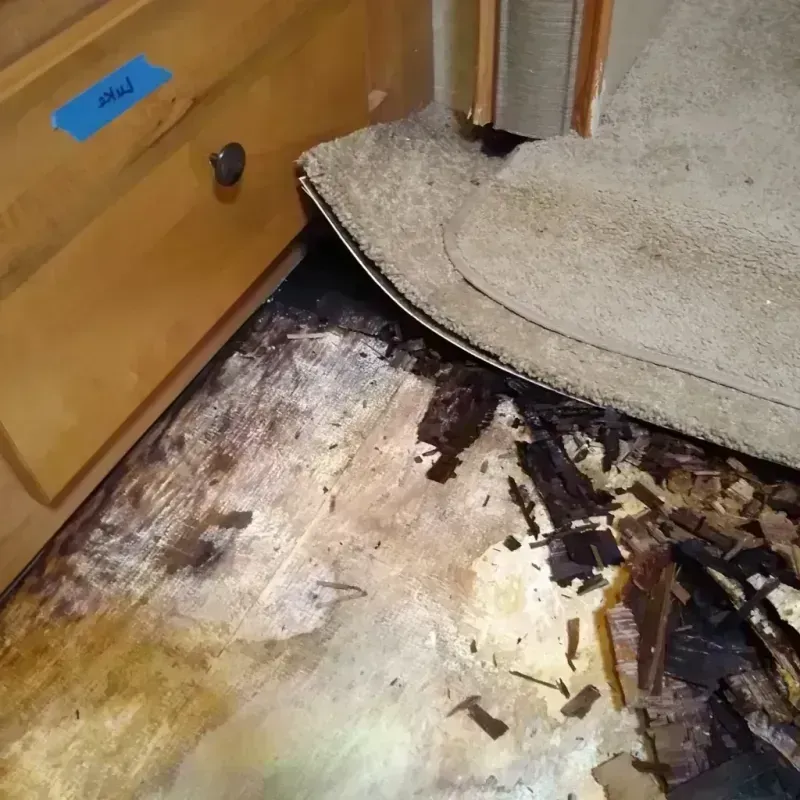 Wood Floor Water Damage in Taft, FL